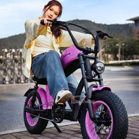 EU Warehouse FT-02 Mini City Electric Fat Tire E-bike 500W 48V 15Ah Lithium Battery Powered City Bike