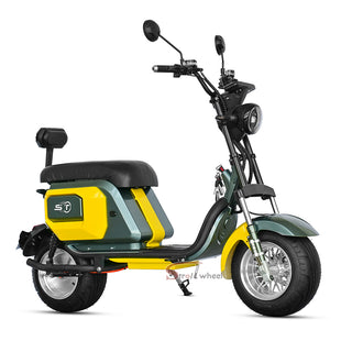 M10 Strollwheel Electric Scooter Brazil Citycoco 2000W 60V12Ah/20Ah/25Ah Lithium Battery