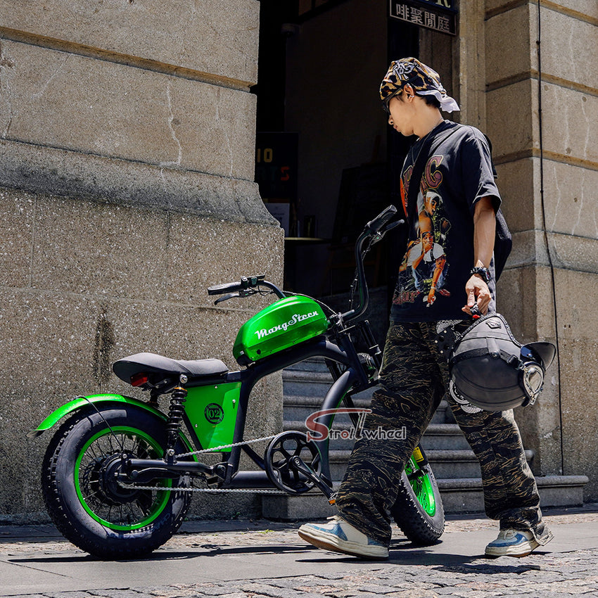 FT02 Mini Electric Bike 500W 48V 22.5AH Battery Speed 25km/h Release to 45km/h