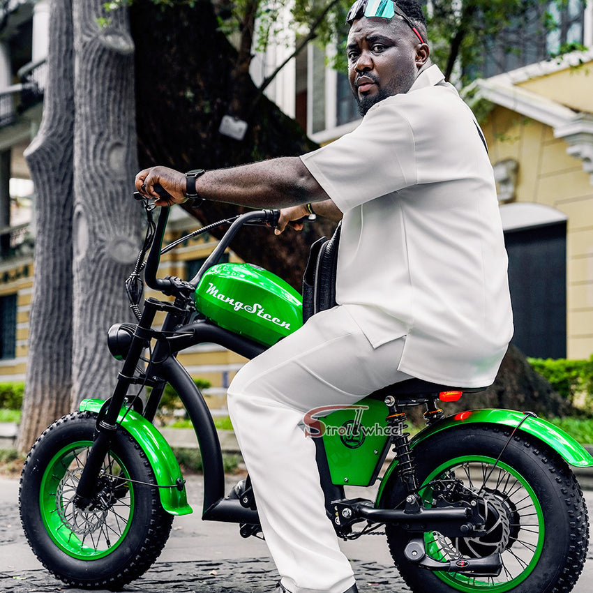 EU Warehouse FT-02 Mini City Electric Fat Tire E-bike 500W 48V 15Ah Lithium Battery Powered City Bike