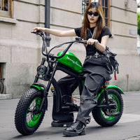 FT02 Mini Electric Bike 500W 48V 22.5AH Battery Speed 25km/h Release to 45km/h