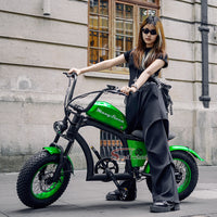 FT02 Mini Electric Bike 500W 48V 22.5AH Battery Speed 25km/h Release to 45km/h