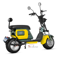 M10 Strollwheel Electric Scooter Brazil Citycoco 2000W 60V12Ah/20Ah/25Ah Lithium Battery
