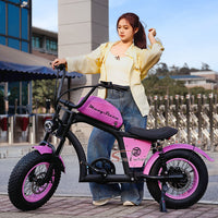 EU Warehouse FT-02 Mini City Electric Fat Tire E-bike 500W 48V 15Ah Lithium Battery Powered City Bike