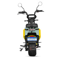M10 Strollwheel Electric Scooter Brazil Citycoco 2000W 60V12Ah/20Ah/25Ah Lithium Battery