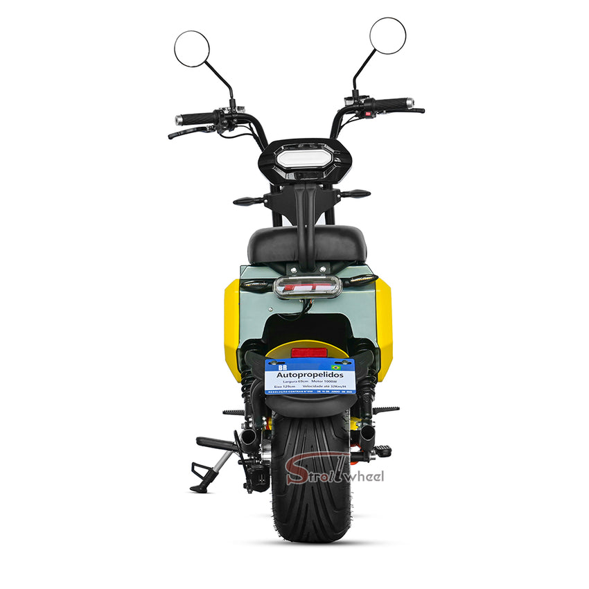 M10 Strollwheel Electric Scooter Brazil Citycoco 2000W 60V12Ah/20Ah/25Ah Lithium Battery