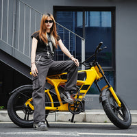 USA Warehouse FT-03 Electric Bike 750W 48V 18.2Ah Battery E-Bike Bicycle for City Commuting