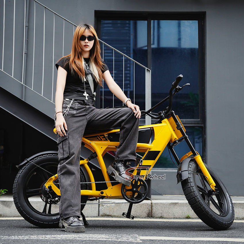 USA Warehouse FT-03 Electric Bike 750W 48V 18.2Ah Battery E-Bike Bicycle for City Commuting