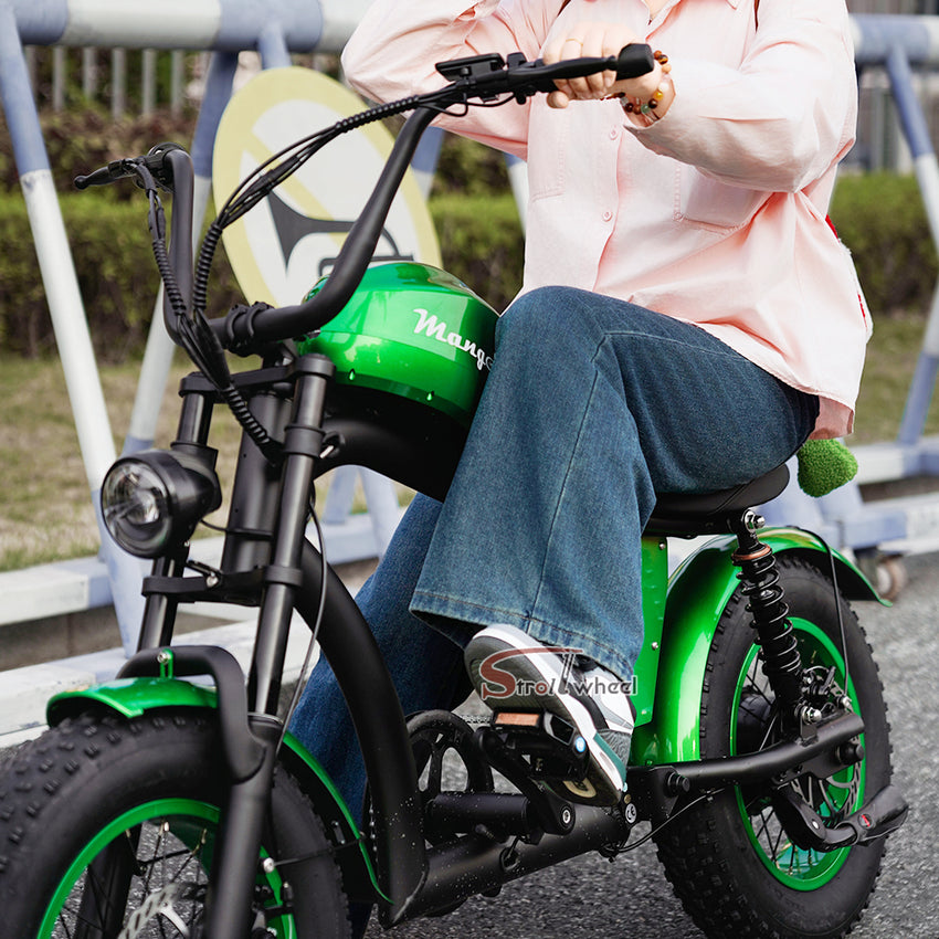 EU Warehouse FT-02 Mini City Electric Fat Tire E-bike 500W 48V 15Ah Lithium Battery Powered City Bike