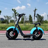 M1(Q1) Mini Electric Citycoco Scooter 1000W 60V12Ah/20Ah/25Ah Lithium Battery for Brazil Market