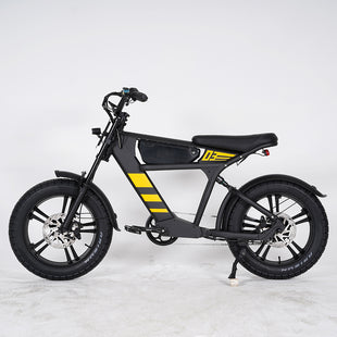 USA Warehouse FT-03 Electric Bike 750W 48V 18.2Ah Battery E-Bike Bicycle for City Commuting