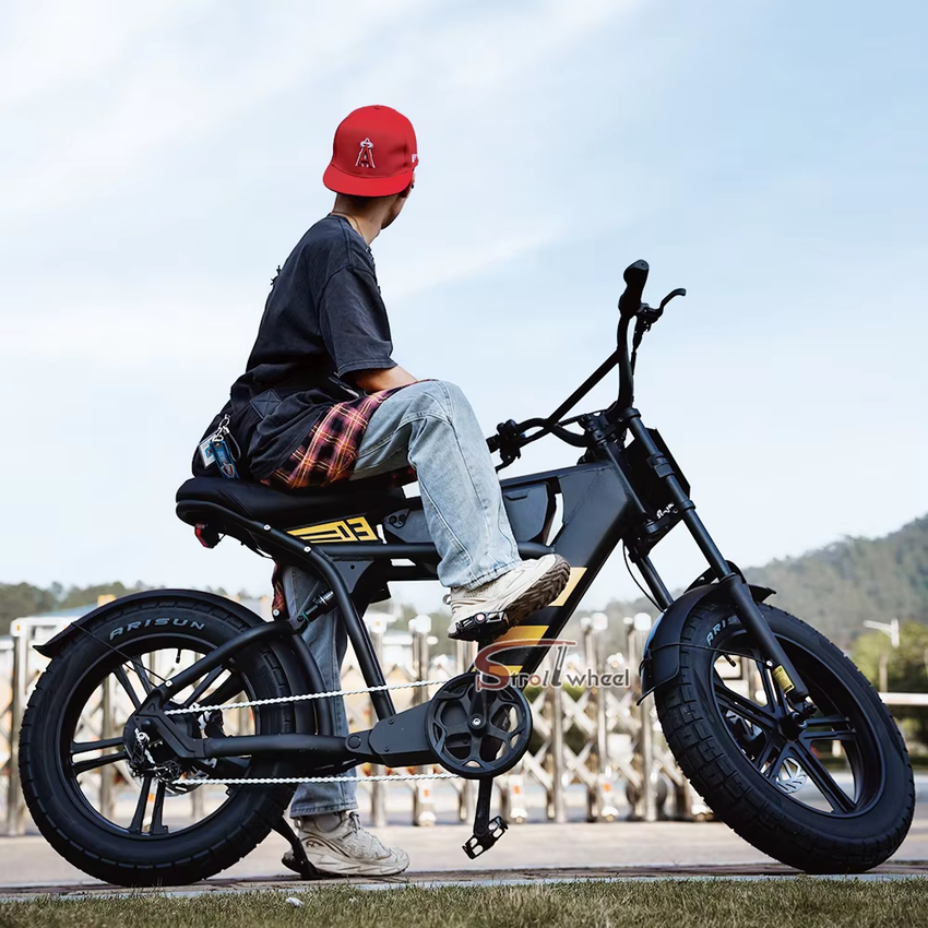 USA Warehouse FT-03 Electric Bike 750W 48V 18.2Ah Battery E-Bike Bicycle for City Commuting