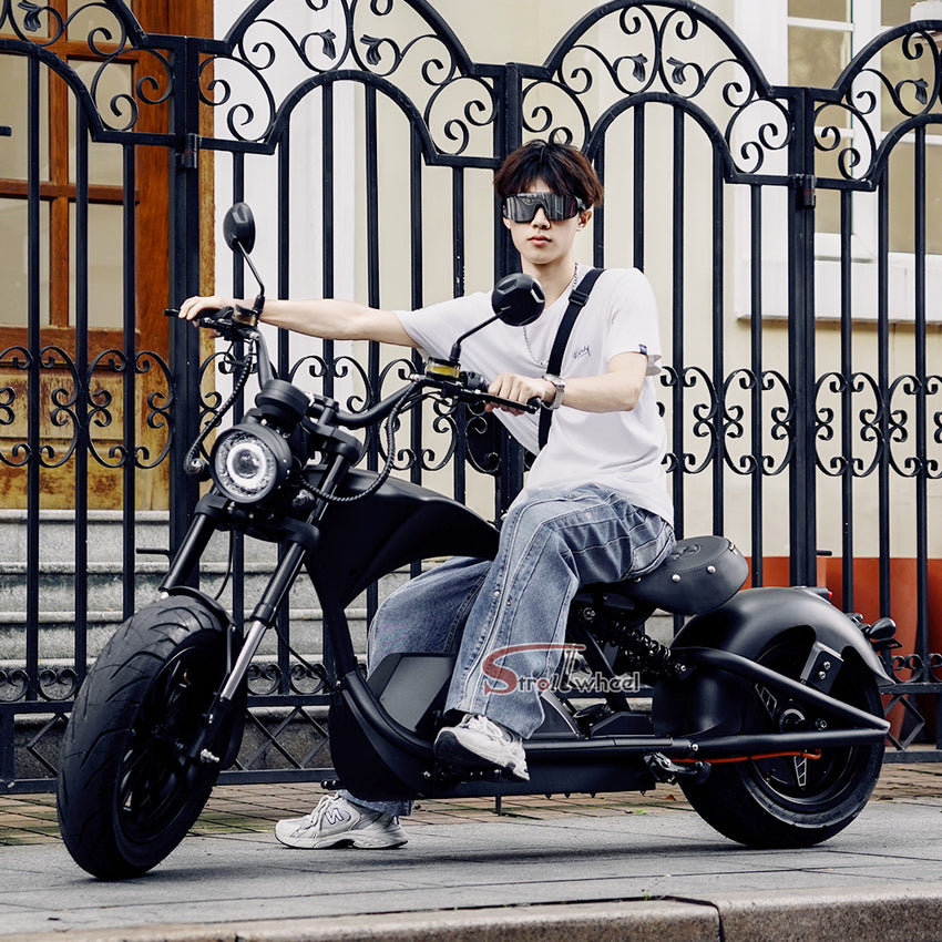 M1PS Electric Citycoco Scooter 2000W/4000W Motor 60V/72V 40AH Battery Optional Chopper Electric Motorcycle