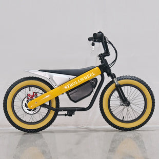 ET-03 Strollwheel Electric Bike Two Wheel Ebike 800W 36V 15AH Battery 16Inch Fat Tire