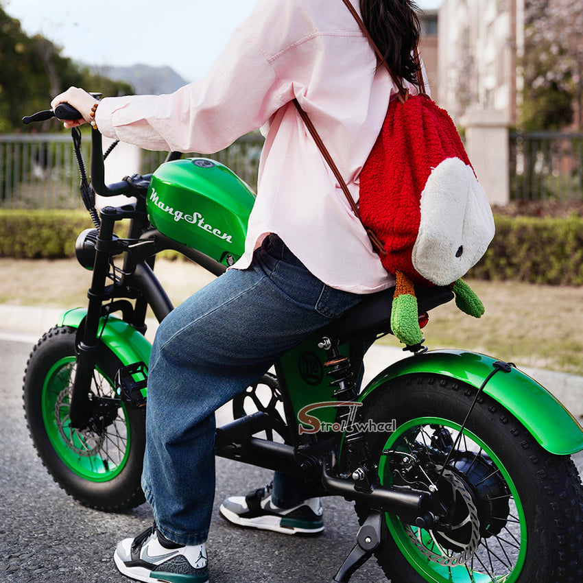 EU Warehouse FT-02 Mini City Electric Fat Tire E-bike 500W 48V 15Ah Lithium Battery Powered City Bike