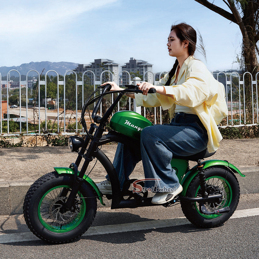 EU Warehouse FT-02 Mini City Electric Fat Tire E-bike 500W 48V 15Ah Lithium Battery Powered City Bike