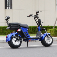 X21-E Strollwheel Citycoco Mini Chopper Scooter 2000W Motor 60V for Brazil Market