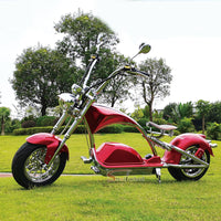 M1PS Mangosteen Citycoco Scooter 2000W 60V 50AH Chopper Electric Motorcycle EEC COC Approved