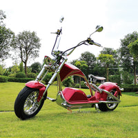 M1PS Mangosteen Citycoco Scooter 2000W 60V 50AH Chopper Electric Motorcycle EEC COC Approved