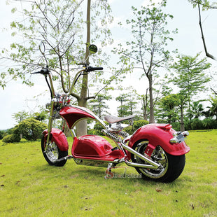 M1PS Mangosteen Citycoco Scooter 2000W 60V 50AH Chopper Electric Motorcycle EEC COC Approved