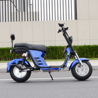 X21-E Strollwheel Citycoco Mini Chopper Scooter 2000W Motor 60V for Brazil Market