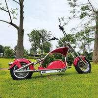 M1PS Mangosteen Citycoco Scooter 2000W 60V 50AH Chopper Electric Motorcycle EEC COC Approved