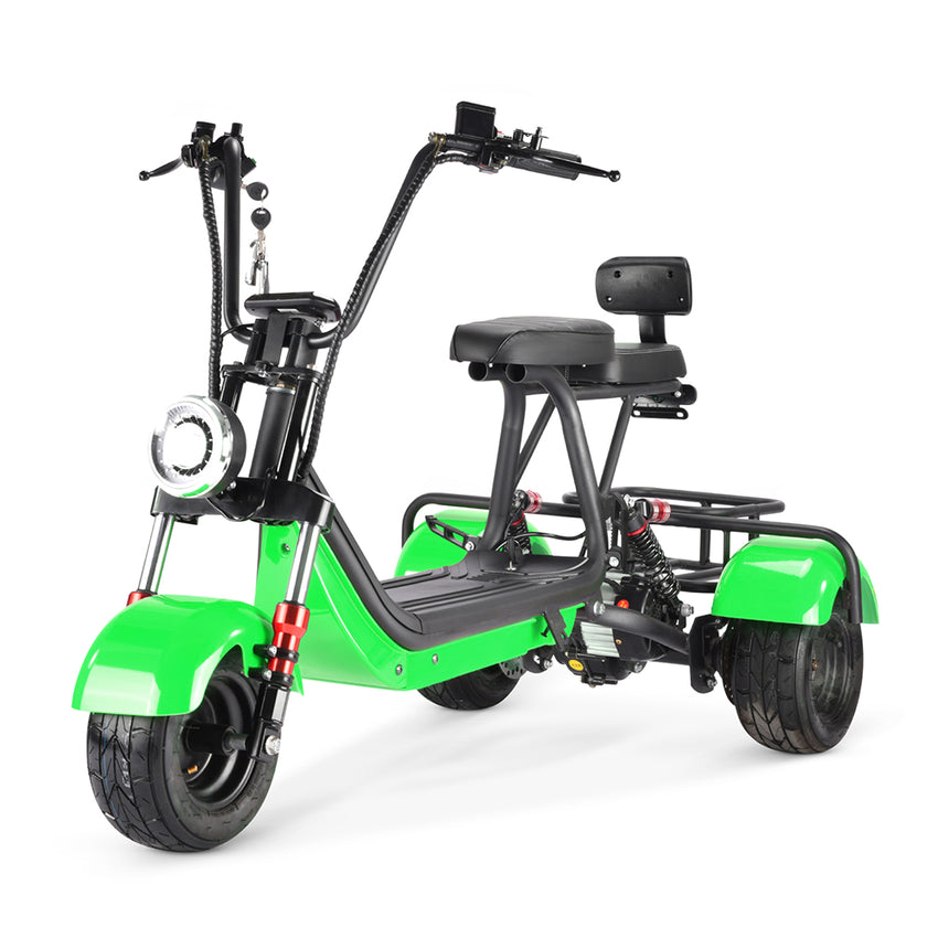MINI-5 800W 48V 12Ah Battery Citycoco Scooter 3 Wheel Motorcycle