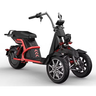 HM-9 Tricycle 2000W 60V 20AH Battery Electric Citycoco