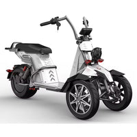 HM-9 Tricycle 2000W 60V 20AH Battery Electric Citycoco