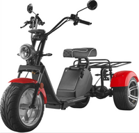 LUQI LQ3.1 1000W 60V 25AH Electric Tricycle Citycoco