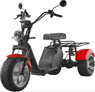 LUQI LQ3.1 1000W 60V 25AH Electric Tricycle Citycoco