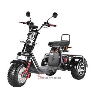 CP-3 3000W 60V 21AH Battery Tricycle Citycoco Motorcycle 3 Wheel