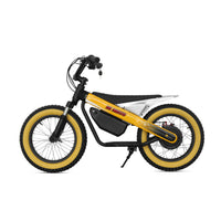 ET-03 800W 36V 15AH Battery Citycoco Electric Scooter 2 Wheel