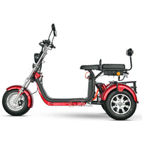 Germany Warehouse CP-3 2000W 60V 20Ah+20Ah Tricycle Citycoco Scooter