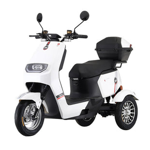 T3-9 600W 60V 20AH Battery 3 Wheel Electric Mobility Scooter