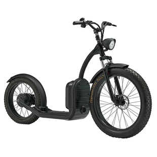 LUQI L2 500W 48V 20AH Battery Electric Bike Citycoco