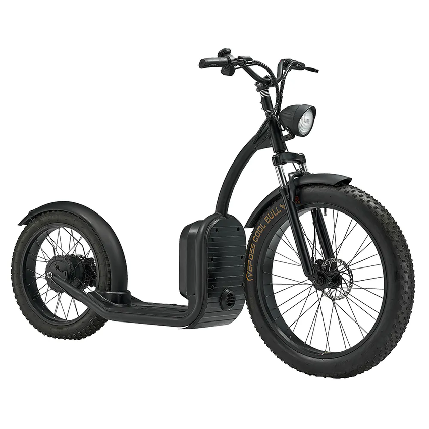 LUQI L2 500W 48V 20AH Battery Electric Bike Citycoco