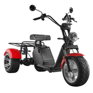 LUQI LQ3.1 1000W 60V 25AH Electric Tricycle Citycoco