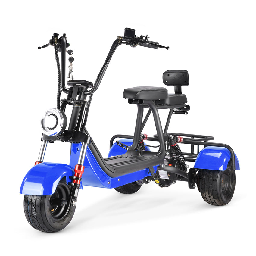 MINI-5 800W 48V 12Ah Battery Citycoco Scooter 3 Wheel Motorcycle