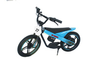 ET-01 Max 300W 24V 6AH Battery 2 Wheel Citycoco Electric Scooter Bicycle
