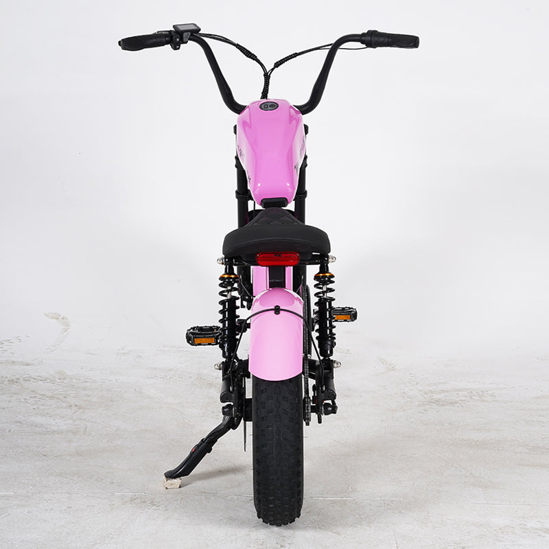 EU Warehouse FT02 Mini Chopper 500W 48V 15AH Battery Max Speed 40km/h