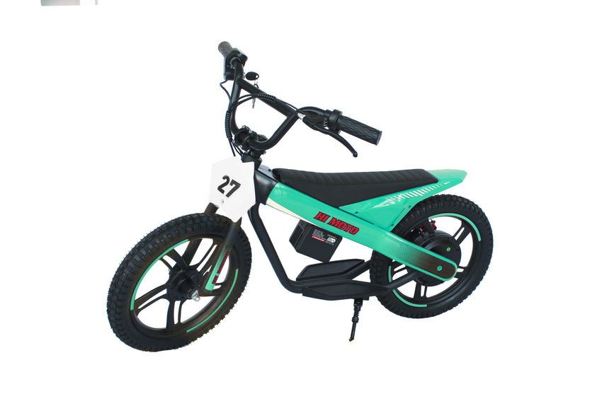 ET-01 Max 300W 24V 6AH Battery 2 Wheel Citycoco Electric Scooter Bicycle