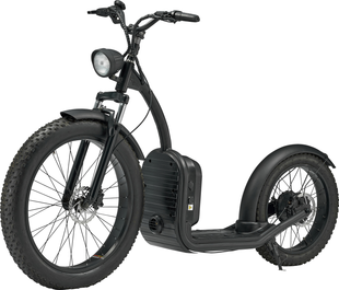 LUQI L2 500W 48V 20AH Battery Electric Bike Citycoco