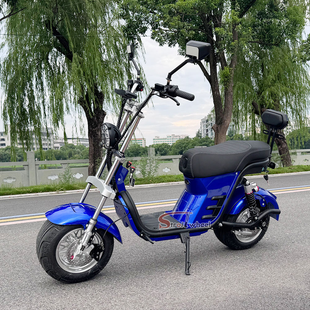 X21-E Strollwheel Citycoco Mini Chopper Scooter 2000W Motor 60V for Brazil Market