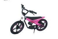 ET-01 Max 300W 24V 6AH Battery 2 Wheel Citycoco Electric Scooter Bicycle