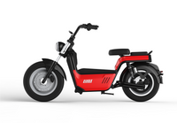 LUQI HL5.0S 4000W Motor 63V 30AH Battery Electric Citycoco