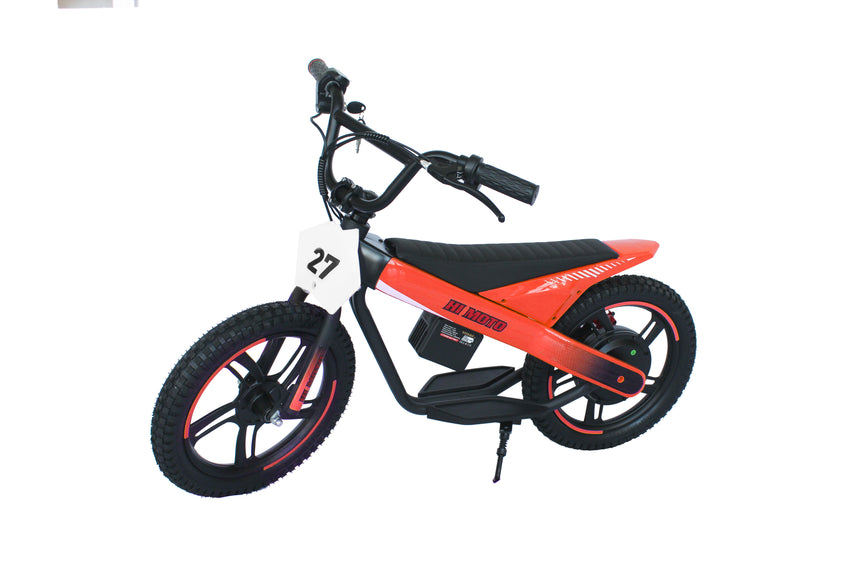 ET-01 Max 300W 24V 6AH Battery 2 Wheel Citycoco Electric Scooter Bicycle