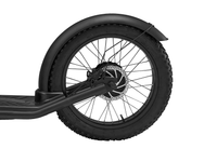 LUQI L2 500W 48V 20AH Battery Electric Bike Citycoco