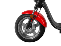 LUQI LQ3.1 1000W 60V 25AH Electric Tricycle Citycoco