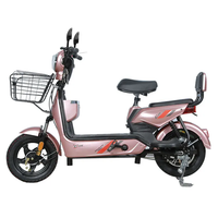 ST-02 350W Motor 48V 12AH Battery Electric Motorcycle